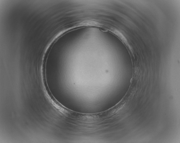 X0000075870947200609291610