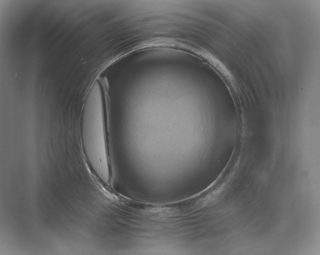 X0000075870953200609291610