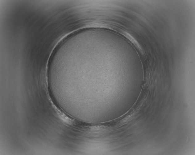 X0000075870988200609291609