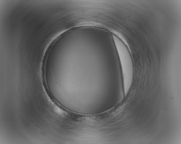 X0000075870995200609291609
