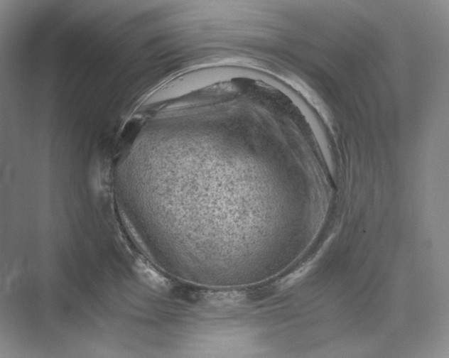 X0000075871001200609291609