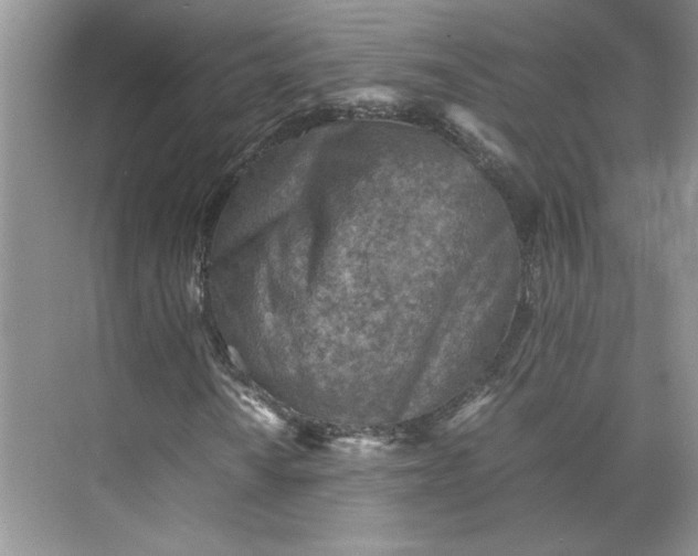 X0000075871010200609291608