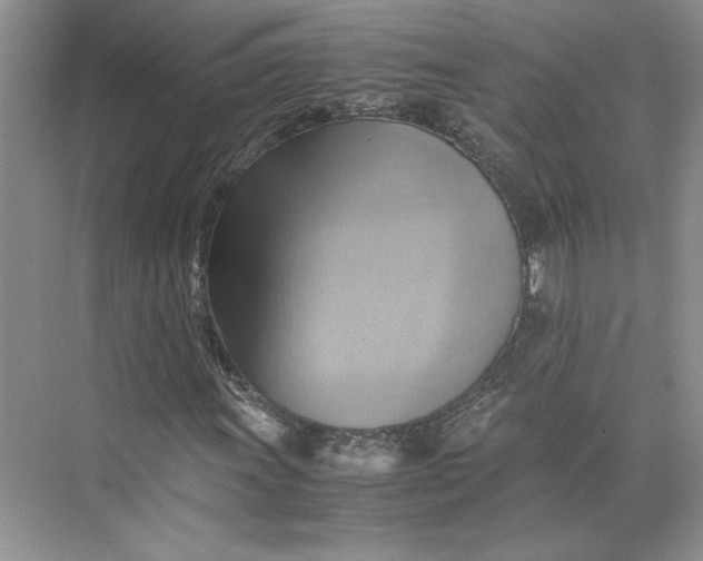 X0000075871011200609291608