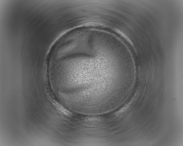 X0000075871021200609291608