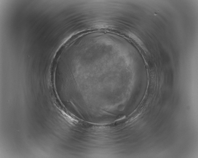 X0000075871023200609291608
