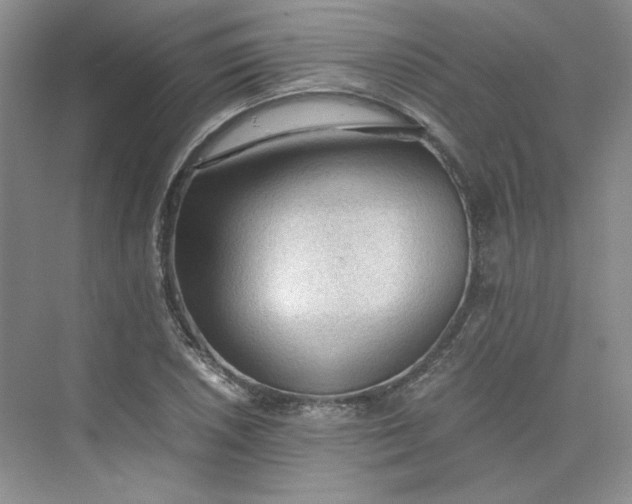 X0000075871026200609291608