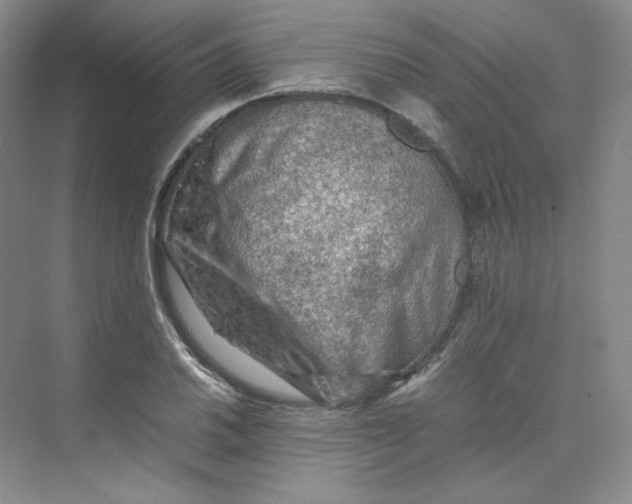 X0000075871030200609291608