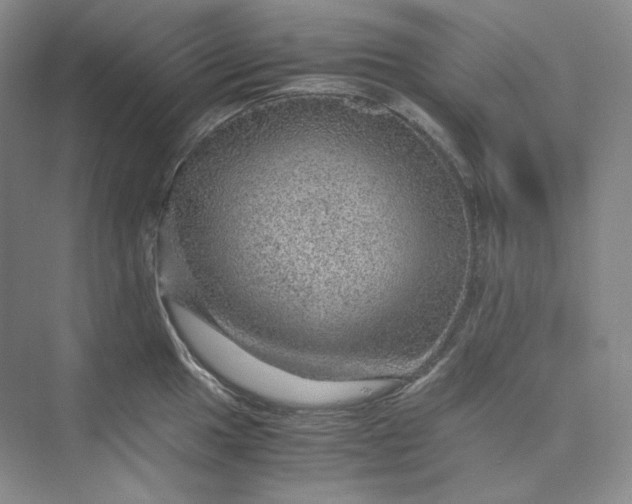 X0000075871049200609291609