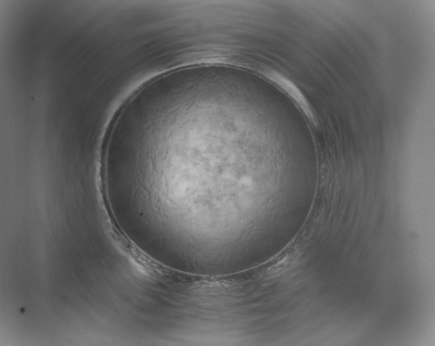X0000075871051200609291609
