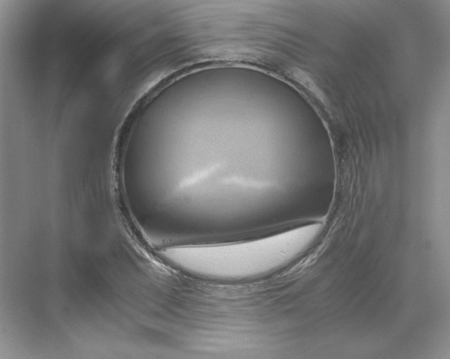 X0000075871071200609291608