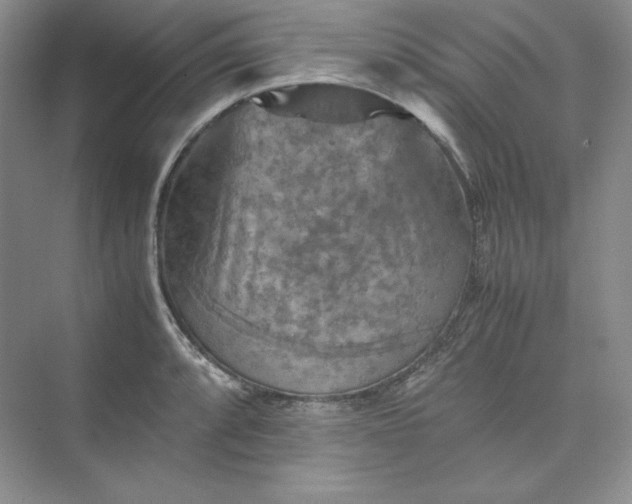 X0000075871088200609291607