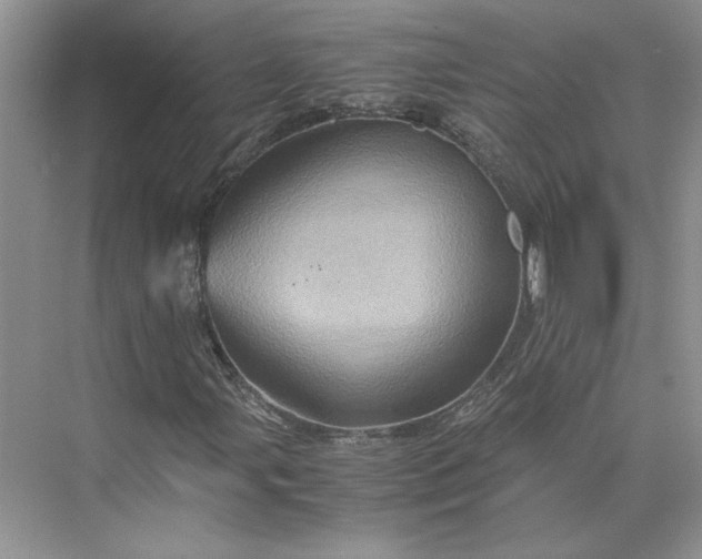 X0000075871107200609291606