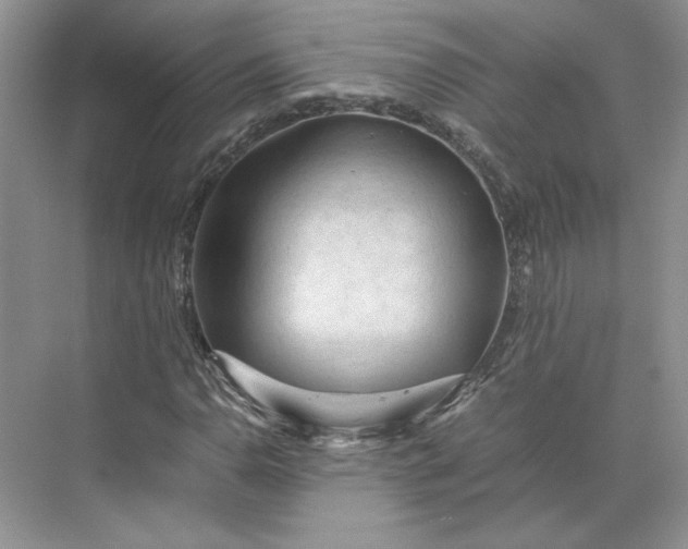 X0000075871110200609291606