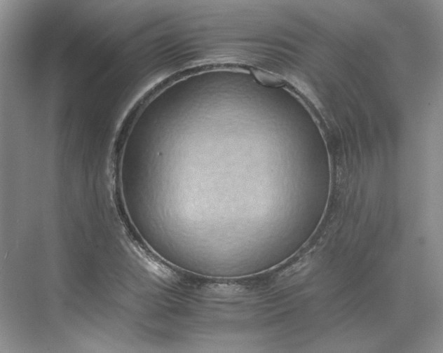 X0000075871119200609291607