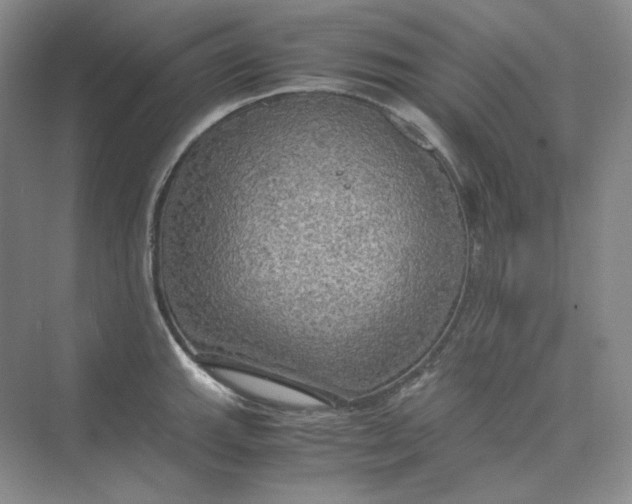 X0000075871143200609291607
