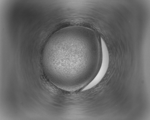 X0000075871153200609291606