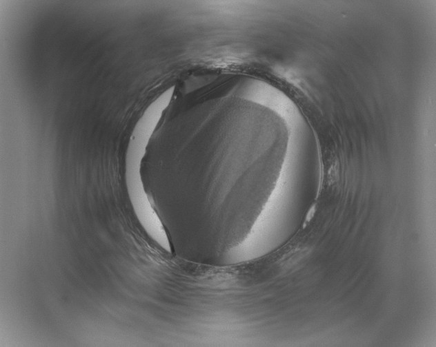 X0000075871156200609291606