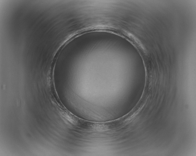 X0000075871170200609291606