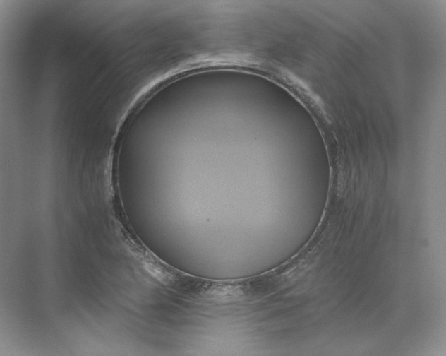 X0000075871174200609291606
