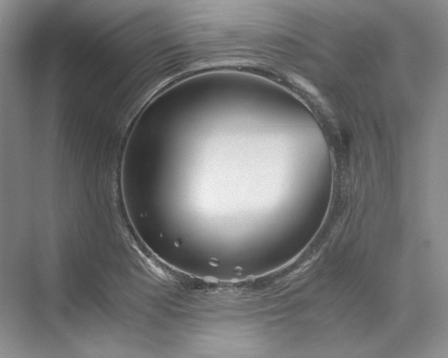 X0000075871177200609291606