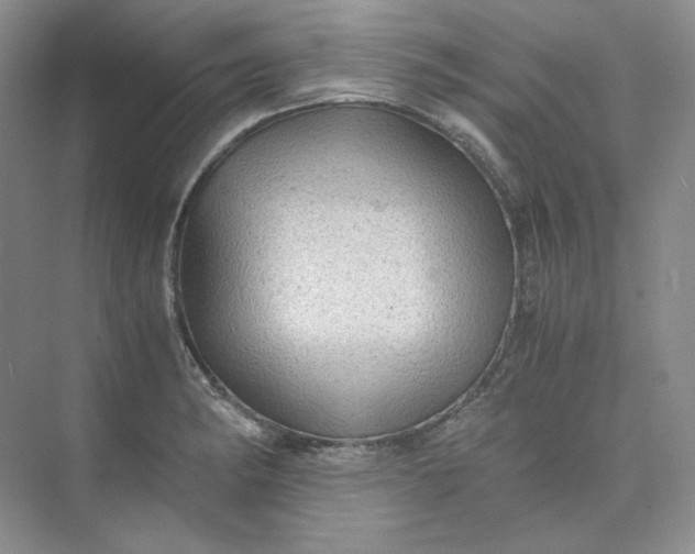 X0000075871182200609291606