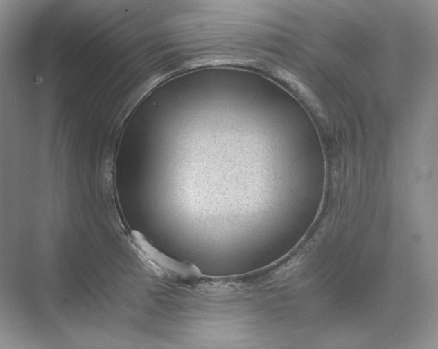 X0000075871185200609291606