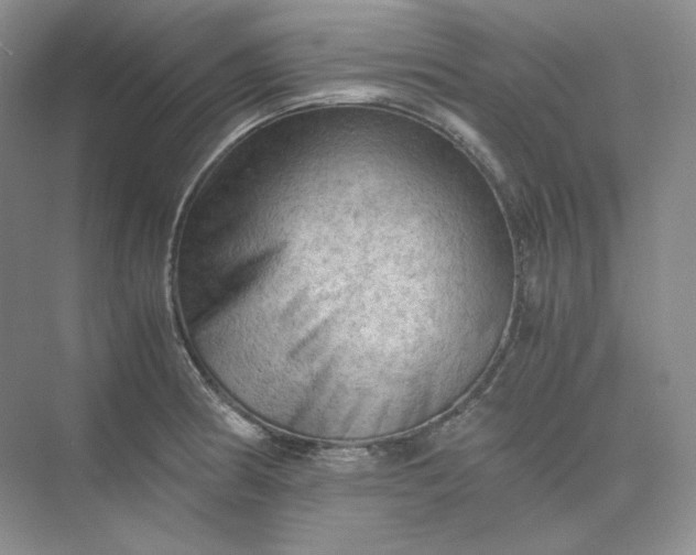 X0000075871186200609291606