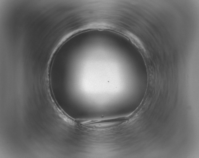 X0000075871192200609291606