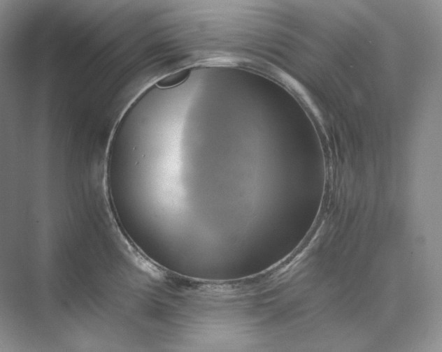 X0000075871194200609291606