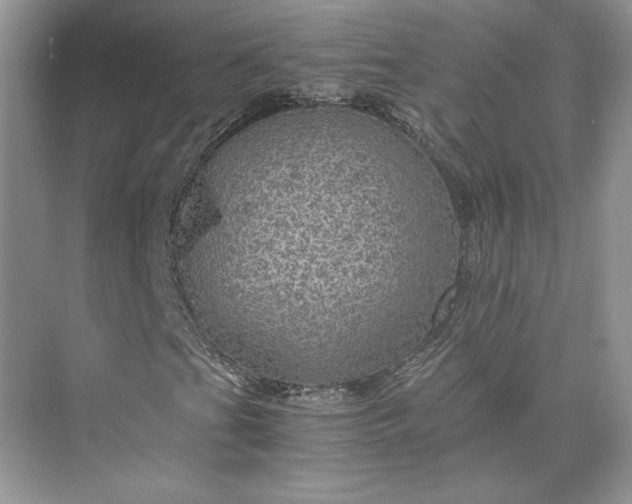 X0000075871201200609291605