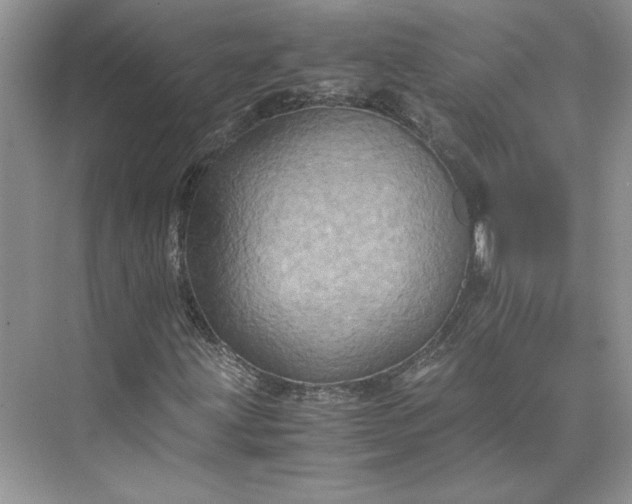 X0000075871203200609291605