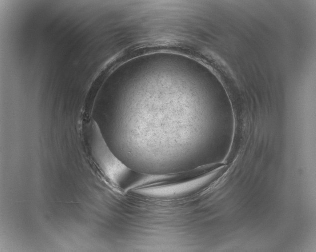 X0000075871210200609291605