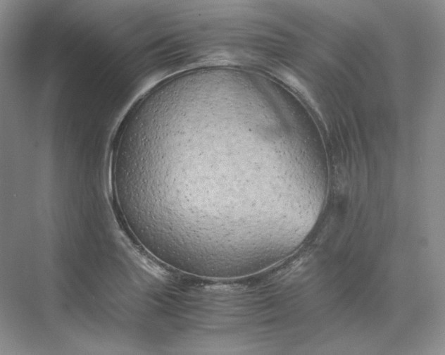 X0000075871227200609291605