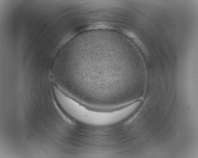 X0000075871233200609291605