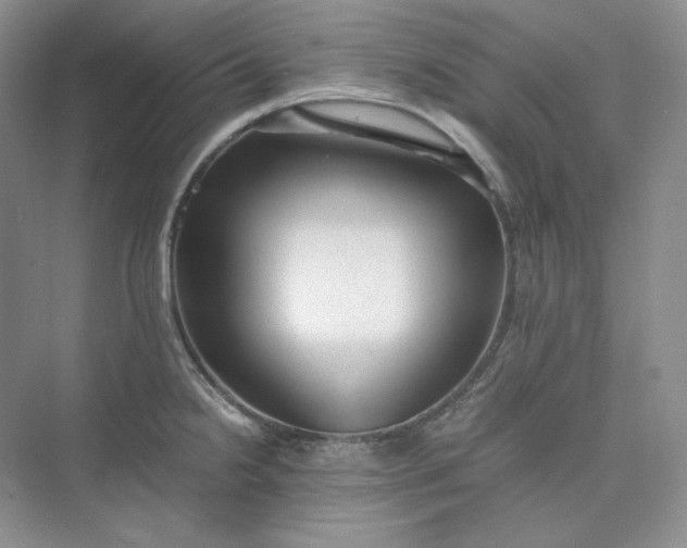 X0000075871238200609291605