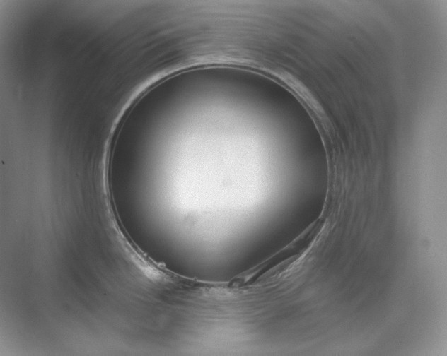 X0000075871246200609291605