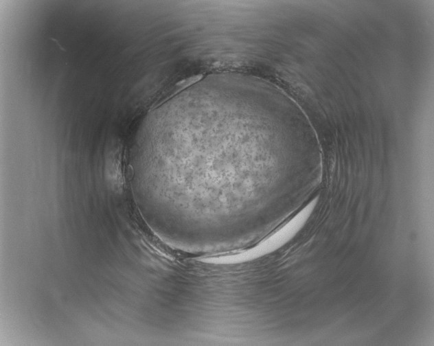 X0000075871250200609291605