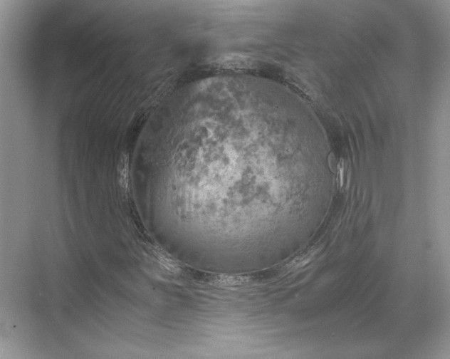 X0000075871251200609291605