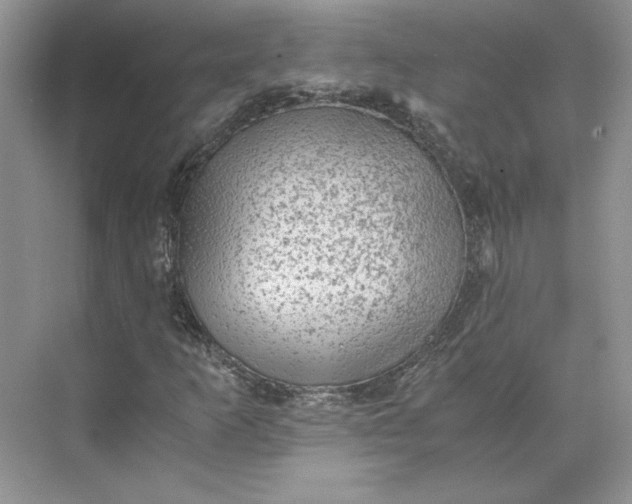 X0000075871253200609291605