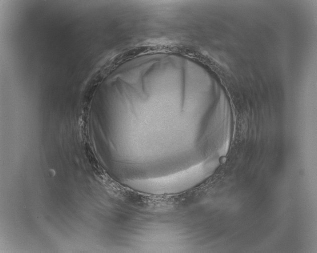 X0000075871254200609291605