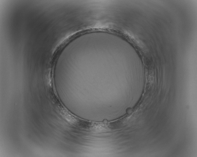 X0000075871262200609291604
