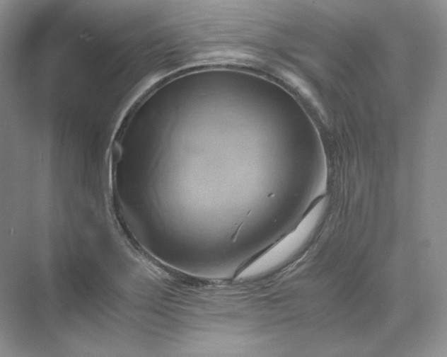 X0000075871275200609291604
