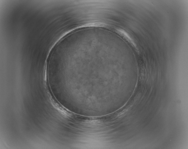 X0000075871276200609291604