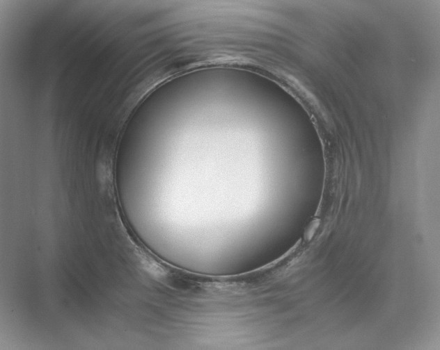 X0000075871281200609291604