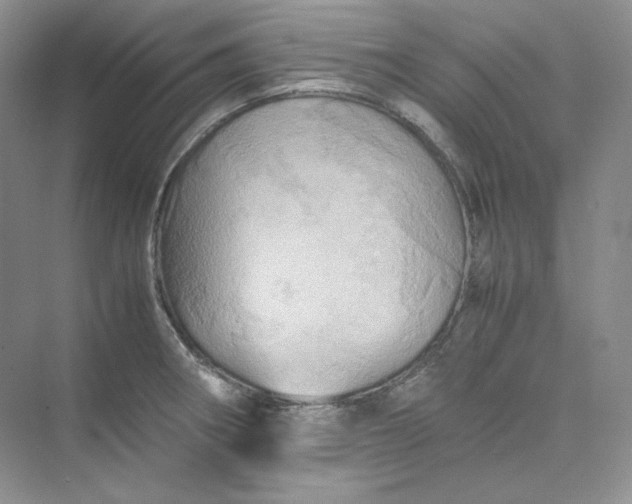 X0000075871282200609291604