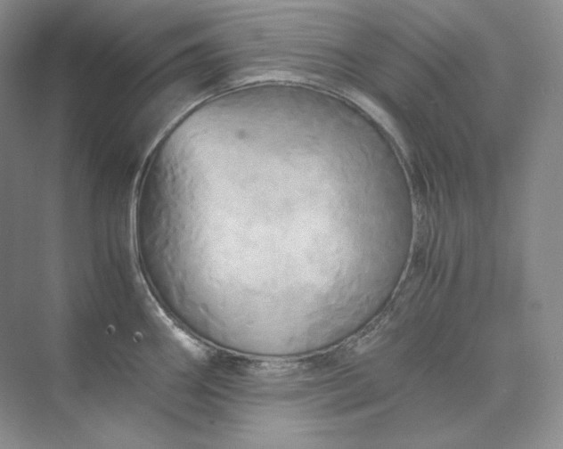 X0000075871290200609291604