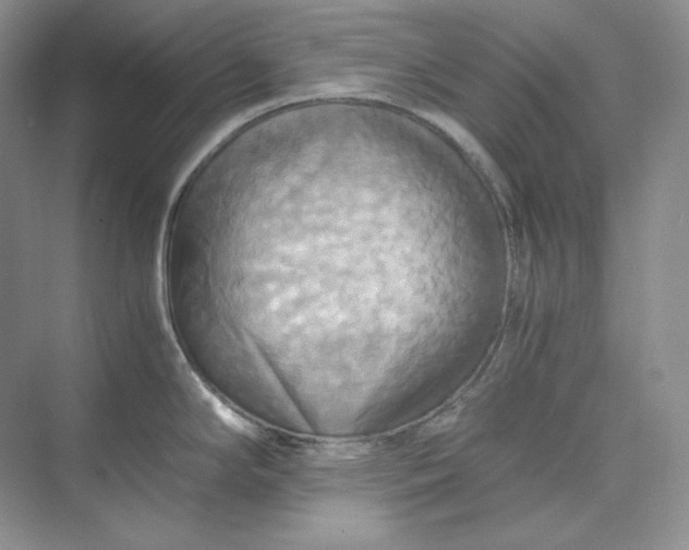 X0000075871294200609291604