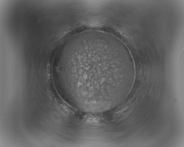 X0000075871301200609291603