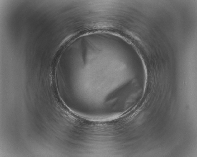 X0000075871306200609291603