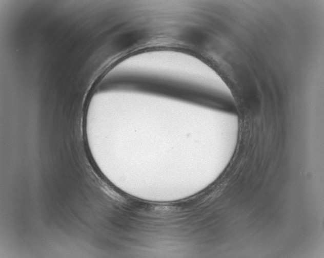 X0000075871322200609291603